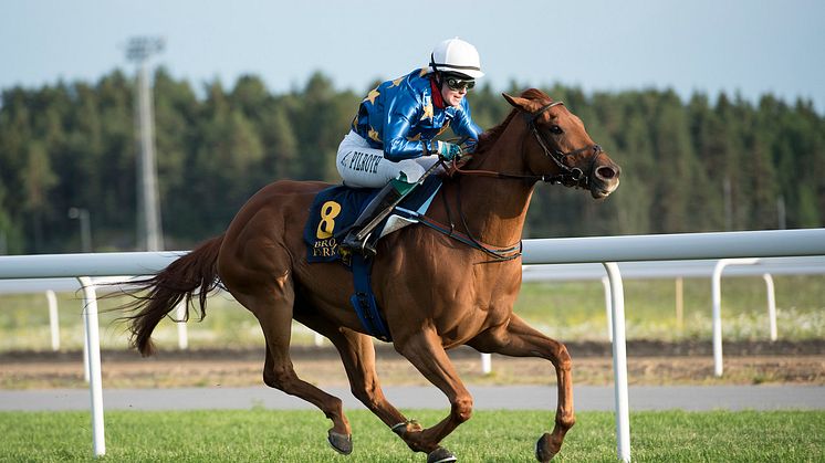 Anna Pilroth vinner ett lopp på Bro Park. Foto: Elina Björklund/Svensk Galopp