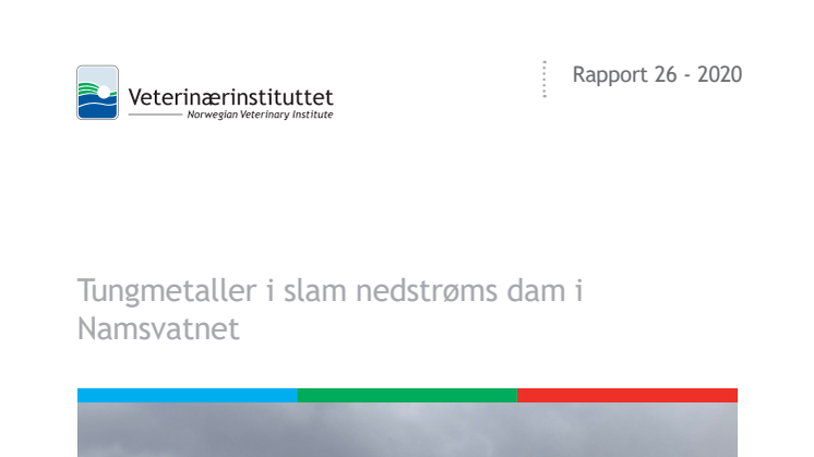 Rapport Veterinærinstituttet 2020_Tungmetaller i slam nedstrøms dam i Namsvatnet.pdf