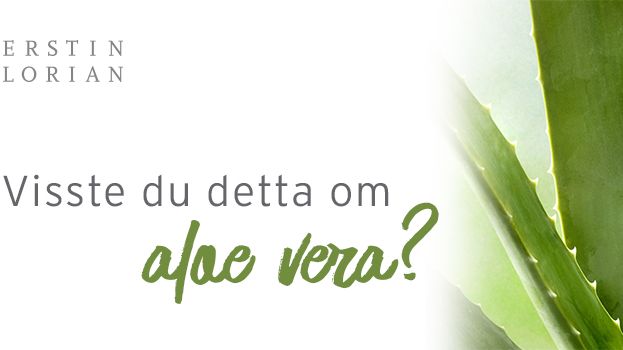 Visste du detta om aloe vera?