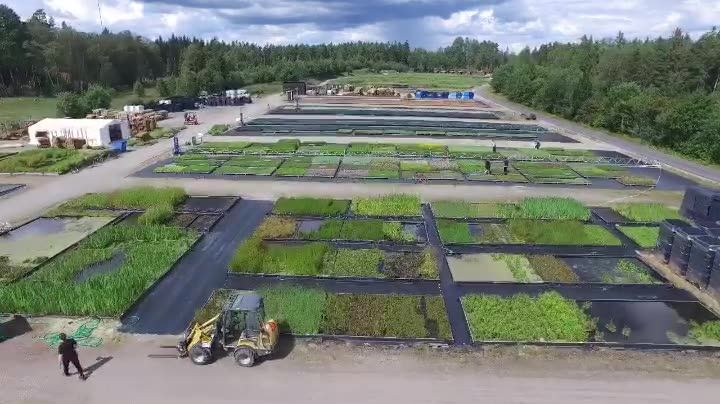 Veg Techs odling i Fagerås