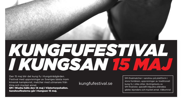 Affisch Stockholm Kung Fu Festival