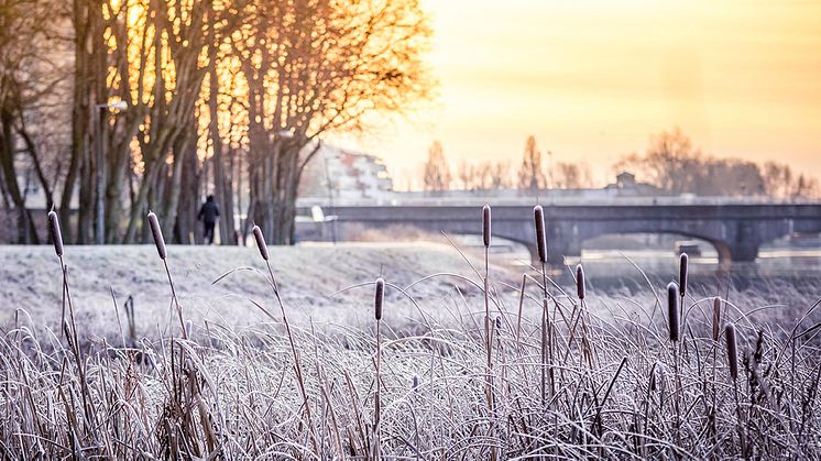 Nya elnätsavgifter från januari 2022