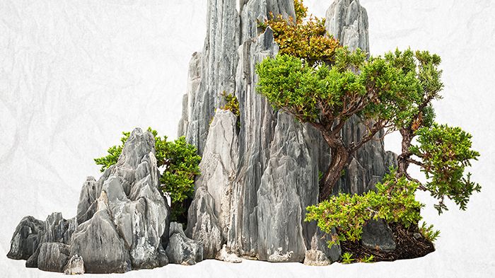 Tuschmåleri inom bonsai och hur man skapar man en idealbild av naturen