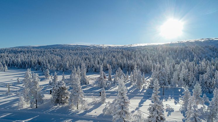 Undvik vurporna: Här hittar du rätt investering i fjällen