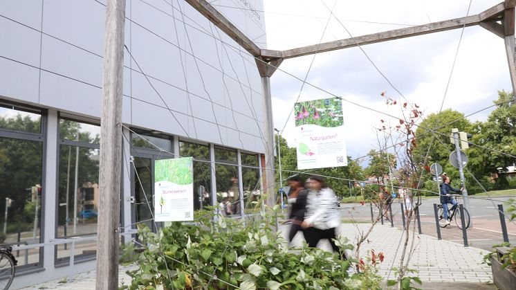 "Naturgarten" an der Universität Vechta