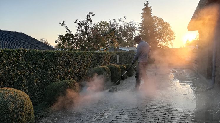 Lun start på året giver flisepesten forspring: Sådan holder du den nede