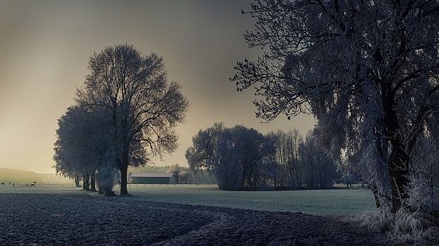 Vi säkerställer att den förorenade marken saneras