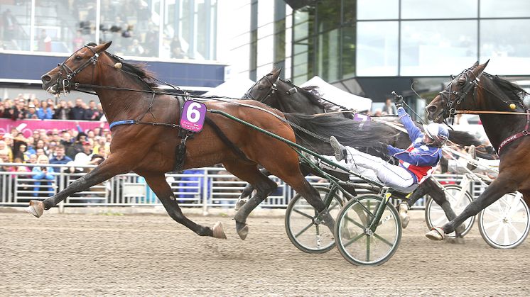 Startfältet är komplett till Elitloppet Benders