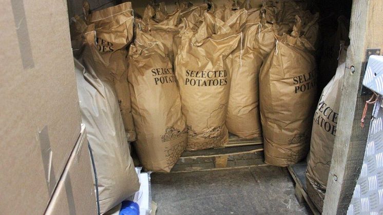 Tobacco hidden in potato sacks found at rented farm buildings in Warwickshire