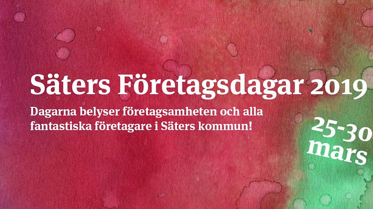 Säters företagsdagar 2019