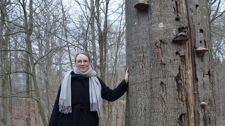 Miljøminister, Lea Wermelin lover, at der med den nye natur- og biodiversitetspakke kommer mere vild natur med store planteædere i Danmark. Foto af Maria Nørgaard Andersen