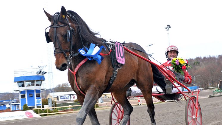 Säkert vårtecken – Olympiatravet, med Jackpot