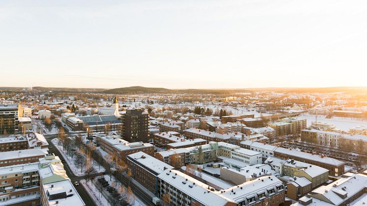 Skellefteåföretagare nöjdare med kommunens service