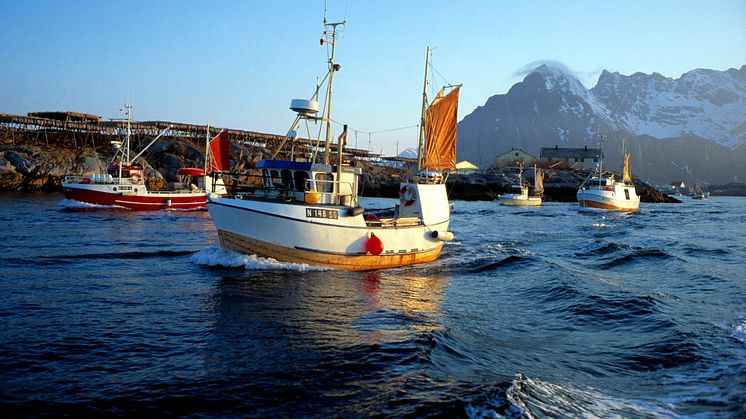 Skreifiske i Nordnorge 