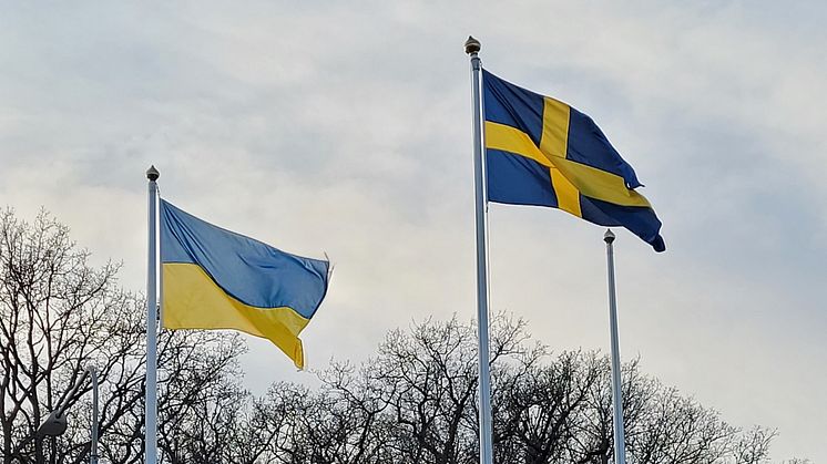 Solidaritetsmanifestation för Ukraina