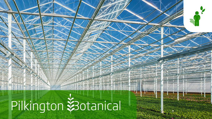 Den nye Pilkington Botanical™ serien består av glassbaserte løsninger som tar sikte på å øke plantenes trivsel og vekst i veksthuset.