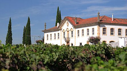 Portugiesische Weinkultur und Gastfreundschaft. The Oitavos, Cascais/Portugal präsentiert: Quinta da Cotto
