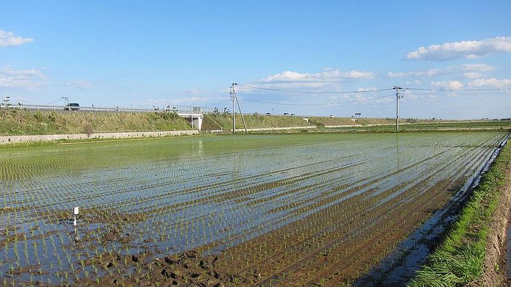 Potential for Sensing Technologies to Contribute to Smart Agriculture (Restoration of Agricultural Land in Tohoku): Power of Soil Sensors to Facilitate the Acquisition of Big Data in Agriculture