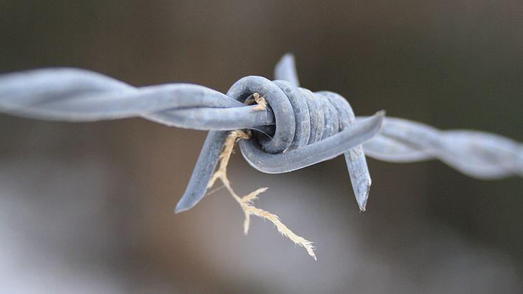 Rådet har föreslagit "emergency measures" vid gränsen mot Belarus där flyktingar nu befinner sig. (Foto: Sophie Grail, CC)