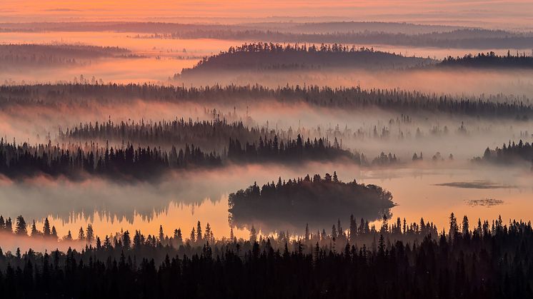 Maisemat-sarjavoittaja 2020: Elokuun aamu, kuvaaja Jarmo Manninen, Canon EOS 5D Mark III 