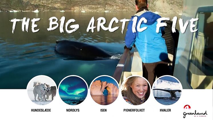 The Big Arctic Five - Oplev fem enestående arktiske attraktioner i Grønland