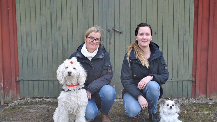 Terapihundarna Disa och Alva kammade hem bästa framsteg 2019. Hundförarna heter Carina Gidvall (Disa) och Maria Spångberg (Alva).
