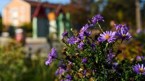 Mycket väl godkänt igen – tack för värdefull återkoppling!