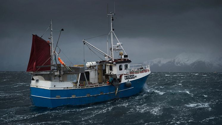 Over 1000 tyskere vil skjære torsketunger og risikerer å spy i høye bølger. Bare én får sjansen