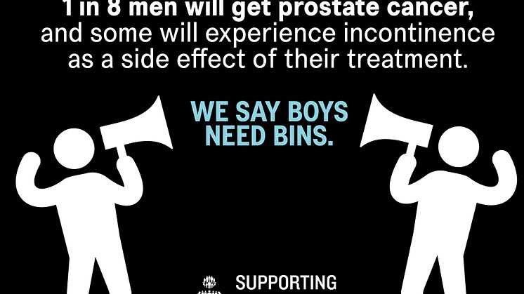 Boys Need Bins logo.jpg