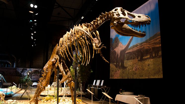 Världsutställning till Halmstad: Dinosaurium - historiens största upplevelse