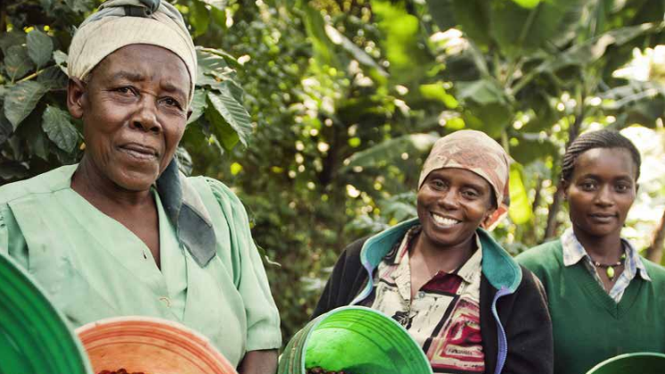 Agenda 2030 – Fairtrade och de globala hållbarhetsmålen