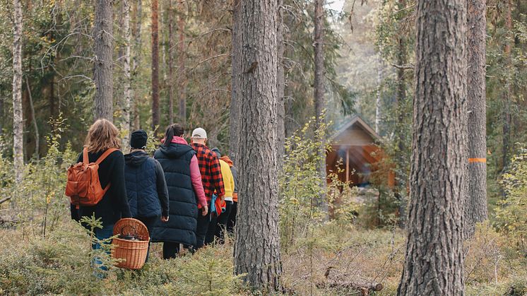 Grupp i skogen