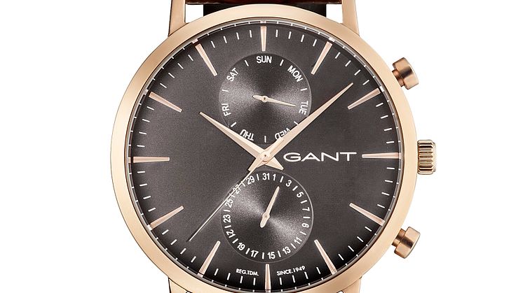 W11207 Gant Time Day Date