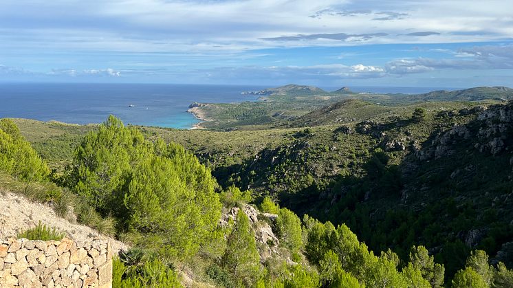 TUI Forest Mallorca_landscape 2
