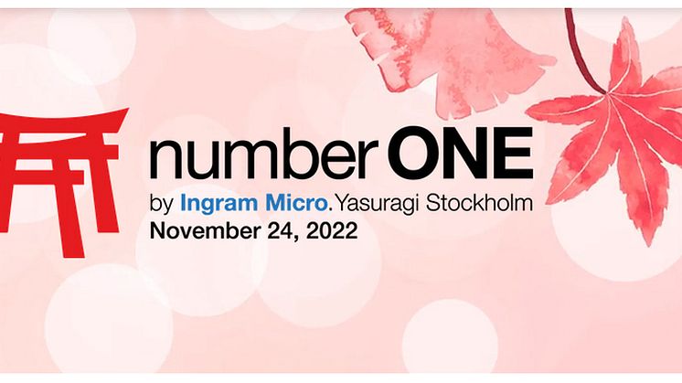 Number ONE by Ingram Micro 