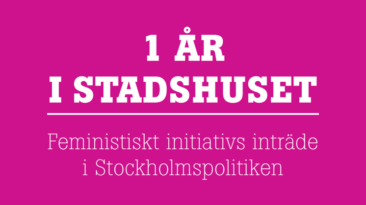 Rapport: 1 år i stadshuset - Feministiskt initiativs inträde i Stockholmspolitiken 