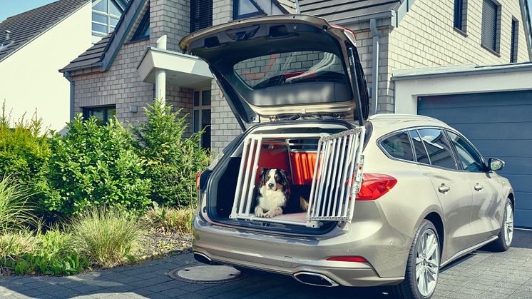 Stort hundehus i Ford Focus stationcar