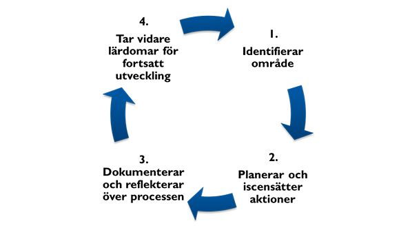 Figuren ovan visar centrala delar i aktionsforskningsarbetet i förskolor och skolor.