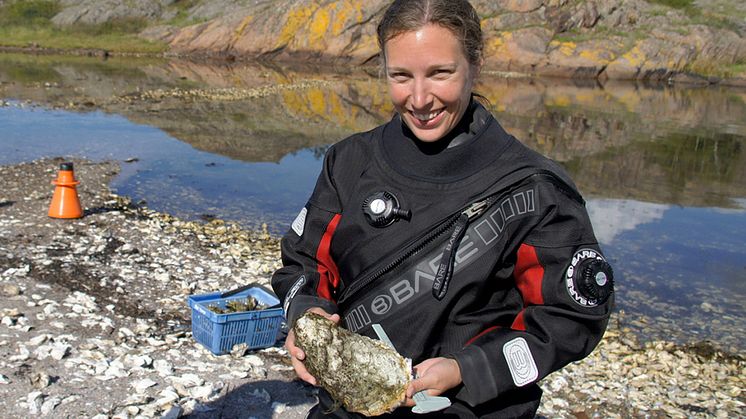 Odling av stillahavsostron, Åsa Strand, marinbiolog,
