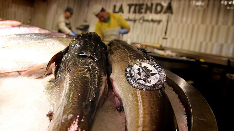 Kvalitetsmerket skrei fra Norge på fiskemarked i Madrid.