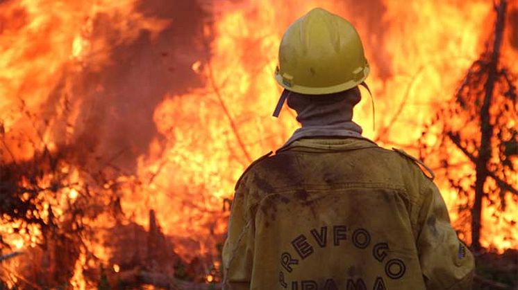 Klimaforandringer, afskovning og tørke står bag en stigning i antallet af skovbrande. Samtidig er både miljøhandhævelses- og brandbekæmpelsesagenturer i Brasilien stærkt underfinansieret. Foto: IBAMA.