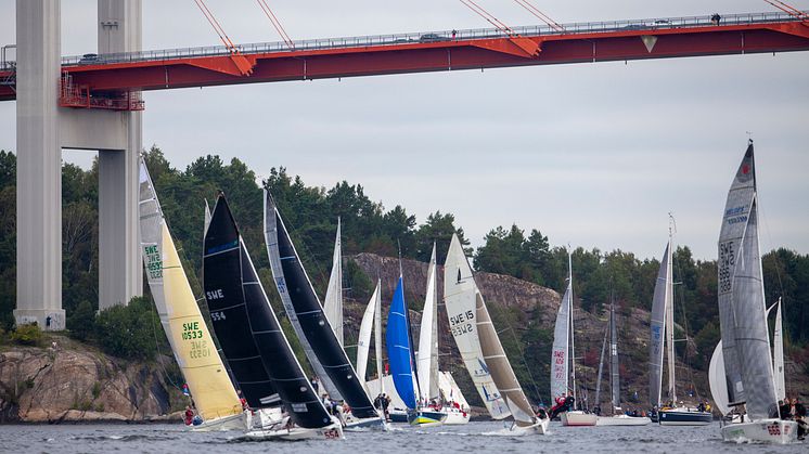 Tjörn Runt by Cowi. Foto: Dan Ljungsvik