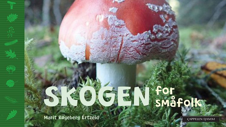 "Skogen for småfolk" er Marit Røgeberg Ertzeid fjerde "naturhåndbok" for de yngste friluftsentusiastene.