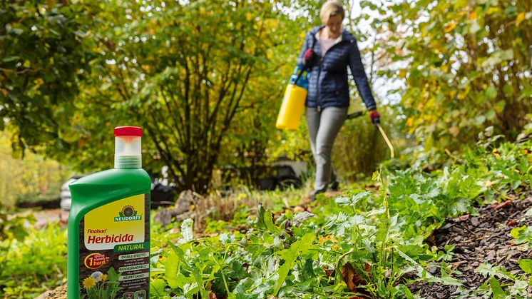 Solución rápida y efectiva contra las malas hierbas y el musgo: Finalsan® Herbicida NATURAL