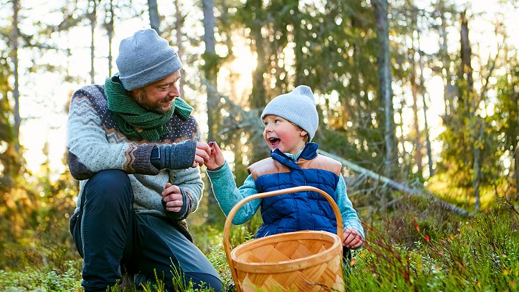 Aktivitetsfyllt höstlov väntar i Järvsö