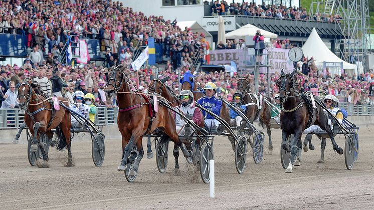 Pulsen är fortsatt hög efter spårlottningen – där de två förhandsfavoriterna Francesco Zet och Idao de Tillard båda fick försöksspår en bit ut bakom Solvallas startbilsvinge. Hohneck (bilden) vann Elitloppet 2023. Foto: TR Bild