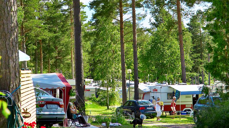 Rekordbeläggning på Sveriges campingplatser