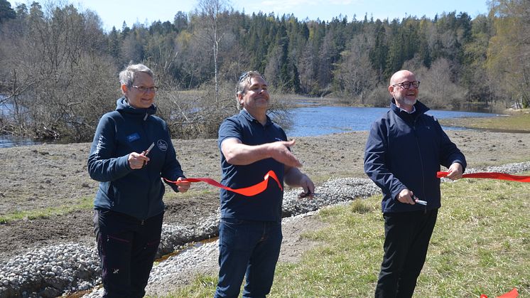 Restaurerade våtmarker ska ge nytt liv till Stockholms skärgård