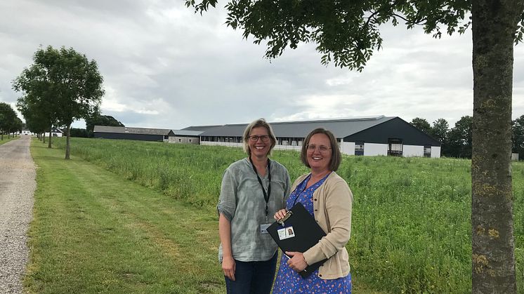 To af Vejen Kommunes miljøsagsbehandlere Gitte Elgaard og Anna Kathrine Klitgaard ses her foran en af de nyeste kvægstalde i kommunen.