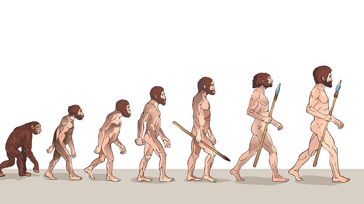 Cold climates contributed to the extinction of the Neanderthals